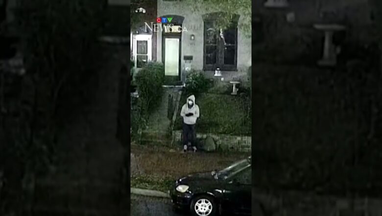 D.C. pipe bomb suspect to remain in custody