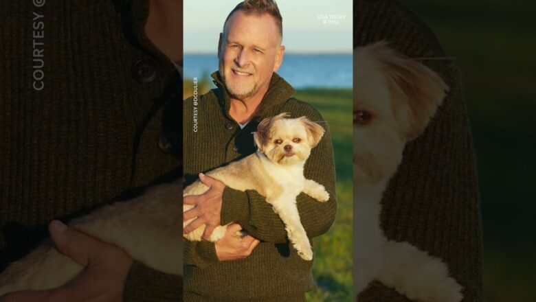Dave Coulier shares how his dogs brought comfort during chemo