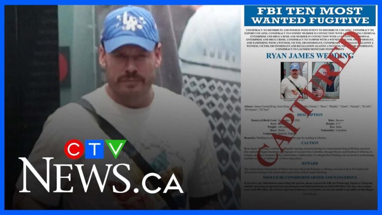 Ex-FBI agent on capture of drug kingpin Ryan Wedding and what comes next