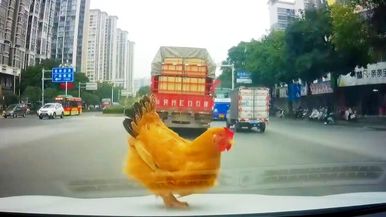 Hilarious CCTV and Dashcam Fails Compilation | Epic Countdown