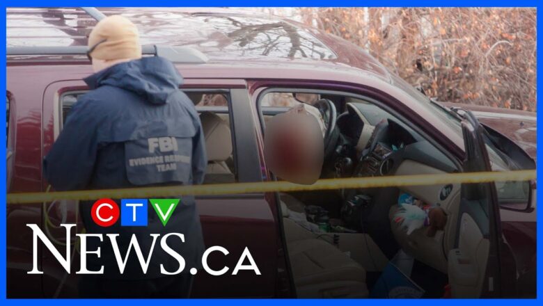 How will the deadly shooting involving ICE agents in Minneapolis be reviewed?