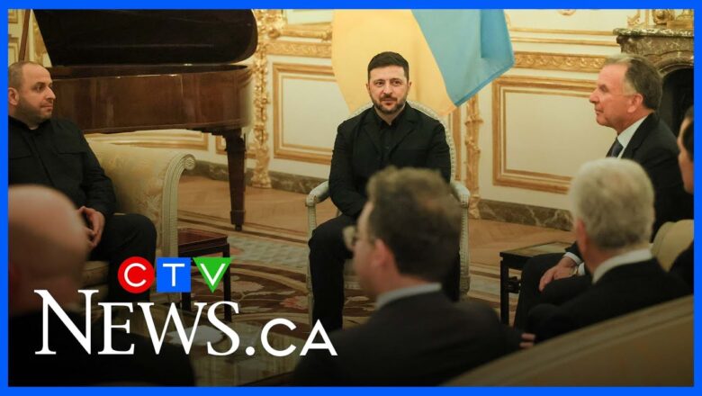 ‘It’s a work in progress’ | Retired defence official on the coalition of the willing