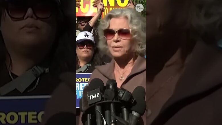 Jane Fonda decries Don Lemon’s arrest outside Los Angeles court
