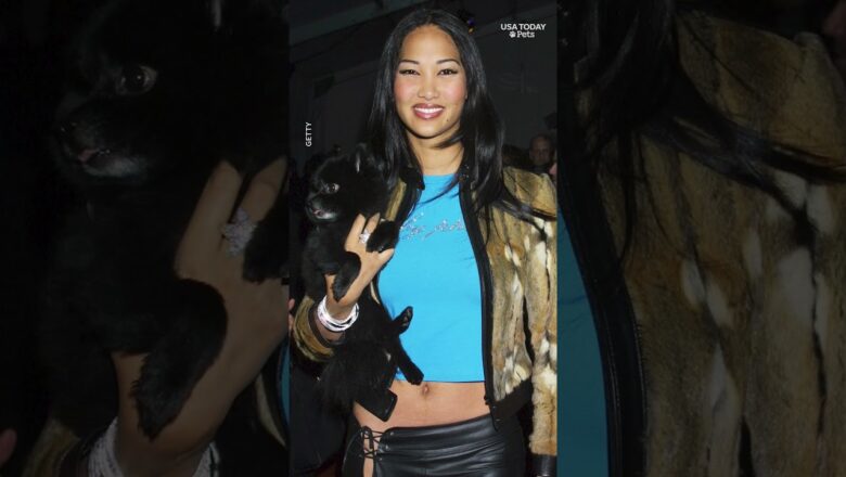 Kimora Lee Simmons shares her passion for rescuing animals