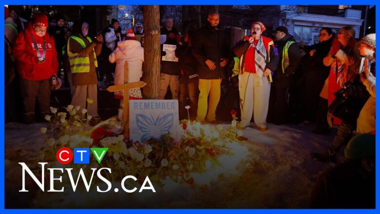 ‘Lack of accountability’ for Minnesota ICE shooting angering public | Human rights expert