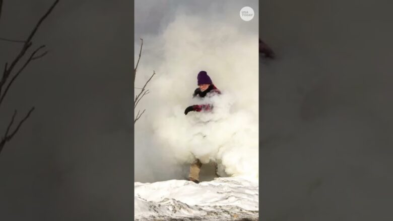 Minneapolis bookstore owner goes viral for lashing out at ICE