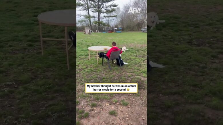 My brother thought he was in an actual horror movie for a second 😂