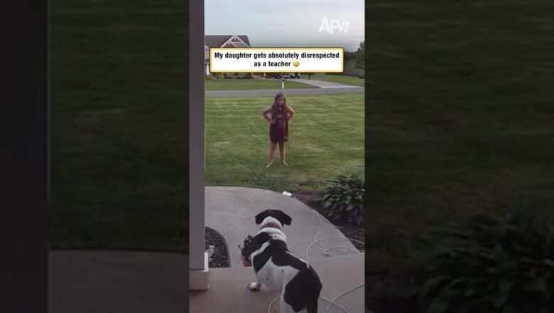 My daughter gets absolutely disrespected as a teacher 😅