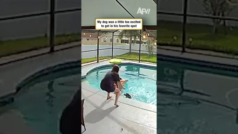 My dog was a little too excited to get in his favorite spot