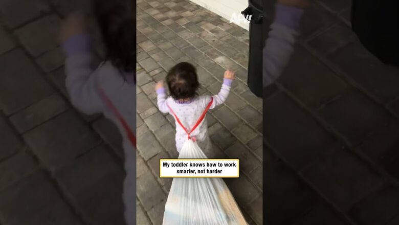 My toddler knows how to work smarter, not harder