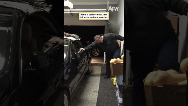 Name a better combo than fake rats and real screams