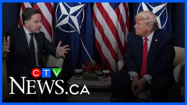 NATO chief reassures Trump: Europeans would defend U.S. if attacked