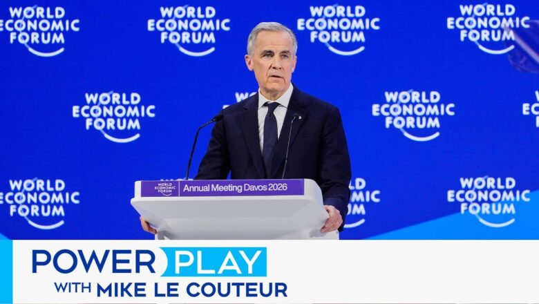 ‘PM spoke truth to power, it’s the law of the jungle out there’: Ex-ambassador on Carney’s speech