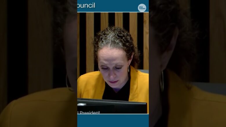 Portland City Council meeting recesses after federal agent shooting