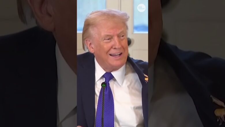 President debuts ‘Happy Trump’ pin during White House meeting with oil executives