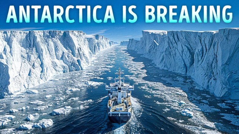 Scientists Finally Explained These Creepy Ocean Sounds