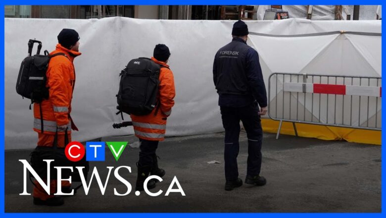 Sparklers possible cause of Swiss Alps blaze that killed 40 people on New Year’s Day: officials