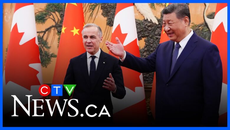 ‘This is not a free-for-all for China’ | Analyst reacts to Canada-China EV deal