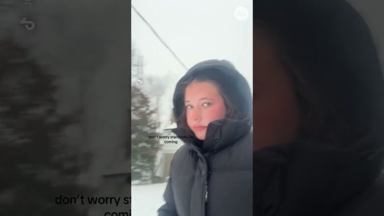 Too much snow? Nope. Watch how people power through.