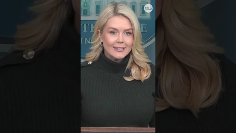 Trump and Walz discuss immigration and Minnesota shooting investigation