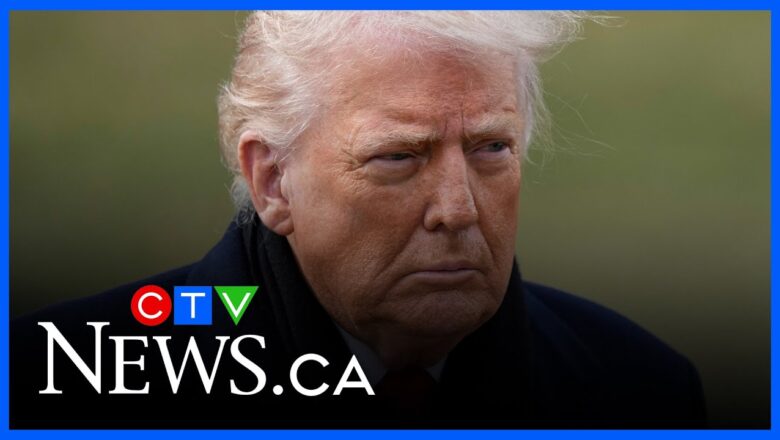 Trump wants to ‘control and manage the entire system,’ former foreign affairs minister says