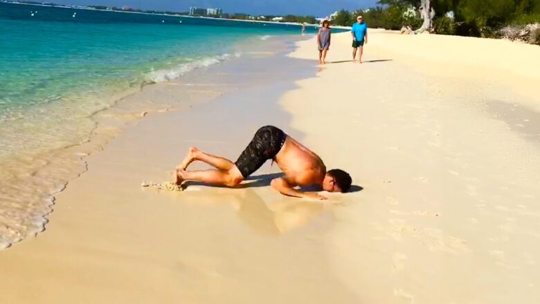 Try Not To Laugh Challenge! 🤣 The Funniest 20 Minutes Compilation