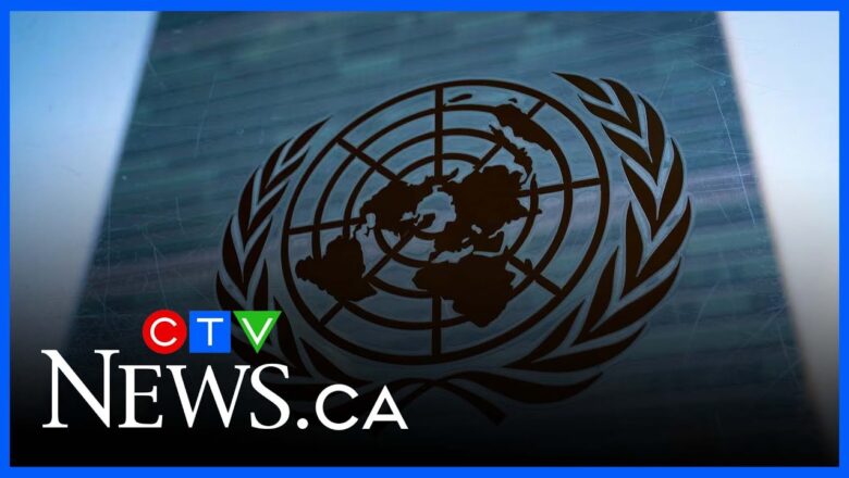 U.S. withdrawing from international orgs. is ‘enormous blow’ to cooperation: UN special rapporteur