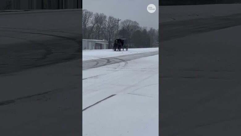Watch horse-drawn buggy take a spin in the snow