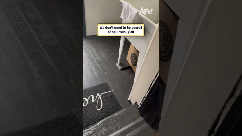 We don’t need to be scared of squirrels, y’all