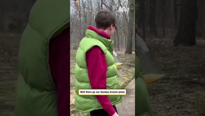 Well there go our Sunday brunch plans