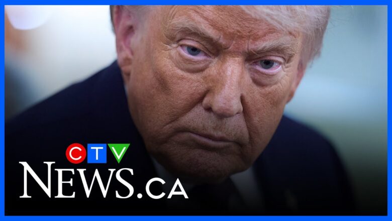 What is Trump’s ‘Board of Peace’ and what will it mean for people in Gaza?