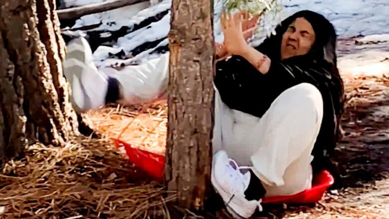 Best Fails of the Week | Funniest Videos in the World