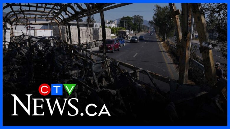 Canadians stuck in Mexico ‘very concerned and frightened’: Travel expert