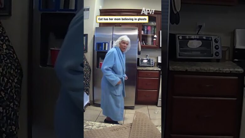 Cat has her mom believing in ghosts