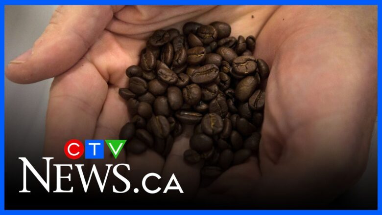Coffee consumers may get price relief thanks to record crop this year