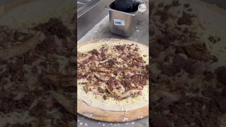 Cold-stunned iguana becomes a pizza topping. See unique slice.