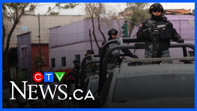 Disorder in Mexico ‘an intimidation tactic’: former deputy prime minister Copps in Puerto Vallarta