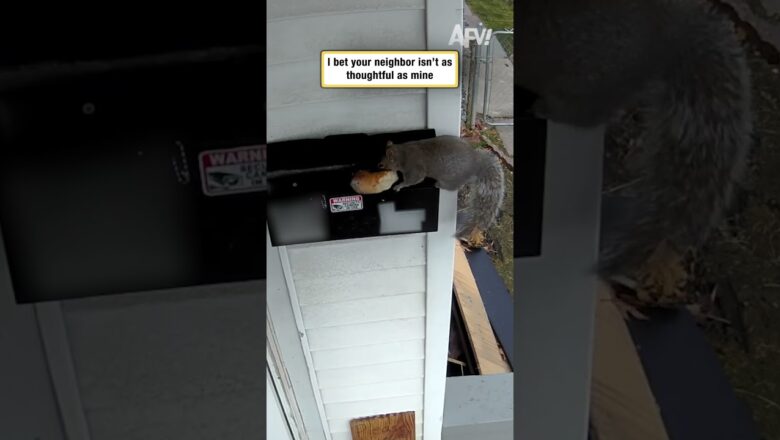 I bet your neighbor isn’t as thoughtful as mine