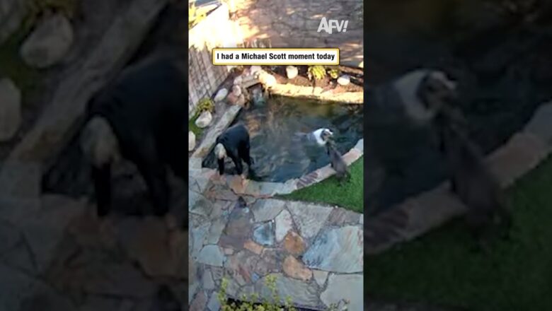 I had a Michael Scott moment today