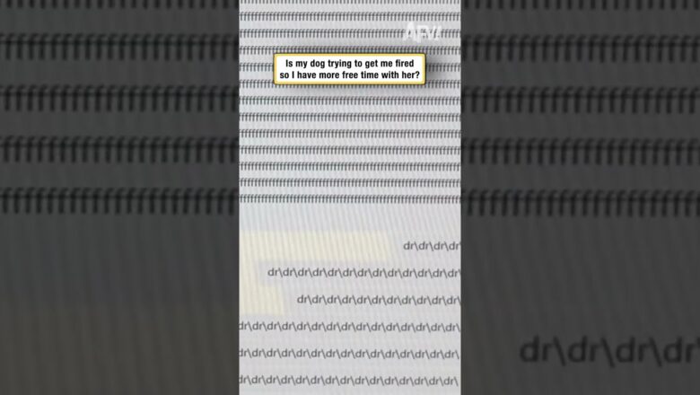 Is my dog trying to get me fired so I have more free time to spend with her?