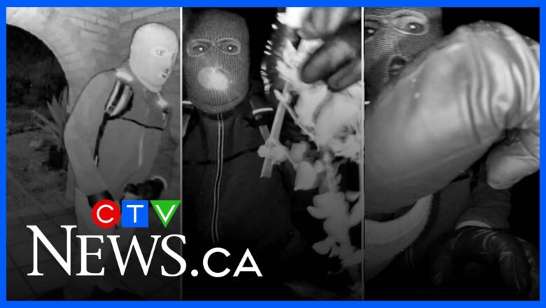 New leads making an ‘all-new investigation’ for Guthrie case amid discovery of discarded glove