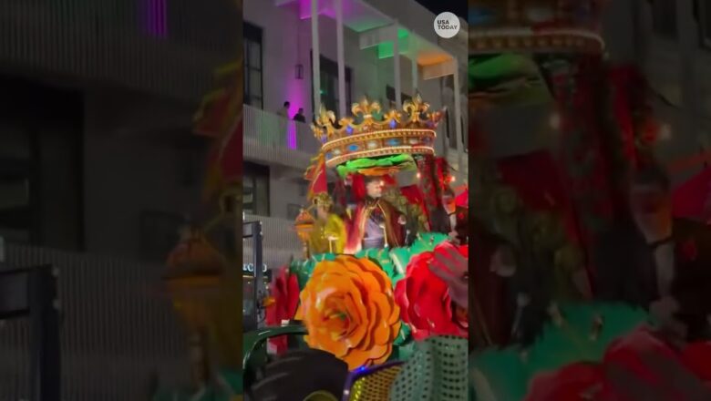 Noah Wyle trades scrubs for beads in New Orleans for Lundi Gras