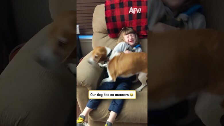 Our dog has no manners 😂