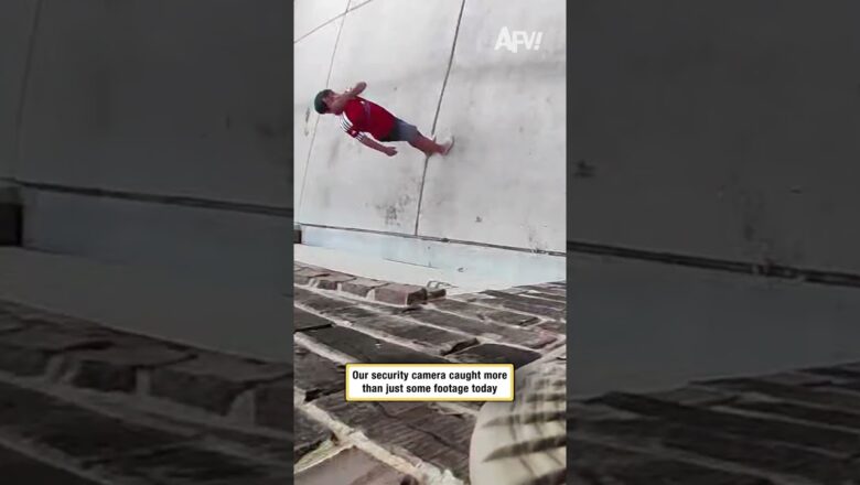 Our security camera caught more than just some footage today