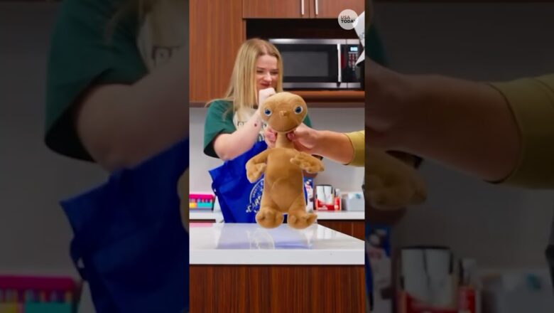 People are bringing random objects (and pets) to work. See why.