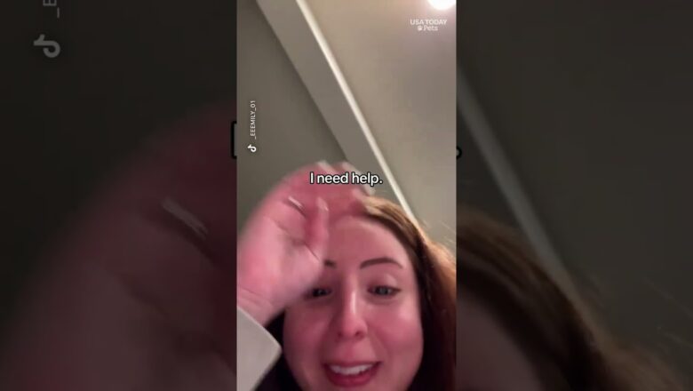 Punch the monkey has everyone in their feelings