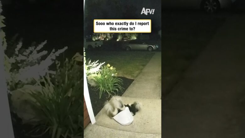 Sooo who exactly do I report this crime to?