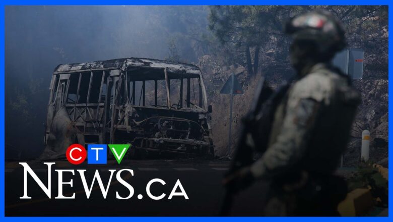 ‘The cartels don’t want to continue this’: Lewis on the violence in Mexico after death of El Mencho