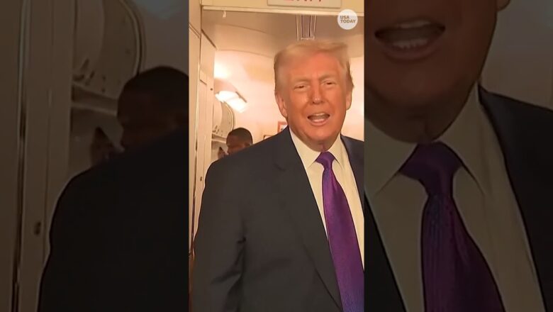 Trump calls former Prince Andrew’s arrest a ’shame’