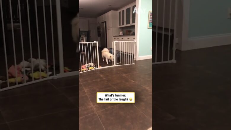 What’s funnier: The fail or the laugh? 😂